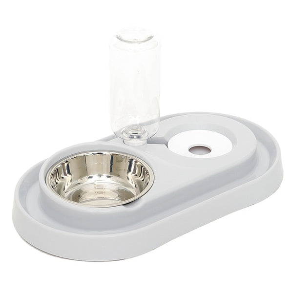 Cats and Dogs Bowl Water and Food
