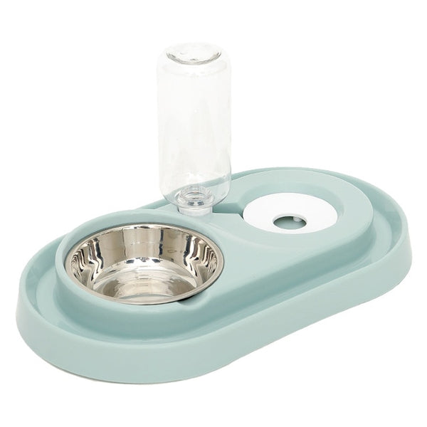 Cats and Dogs Bowl Water and Food