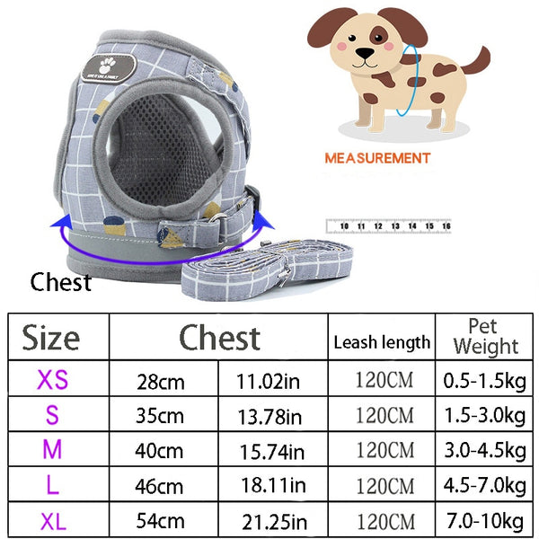 Dog Harness Leash Set