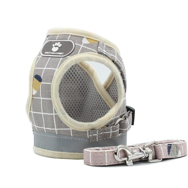Dog Harness Leash Set
