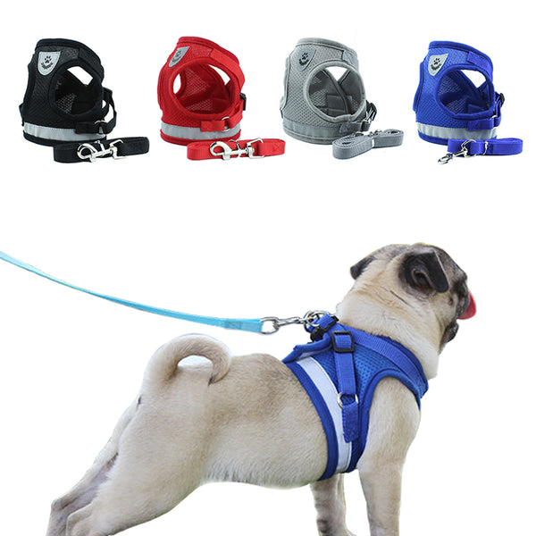 Safety Harness and Leash Set