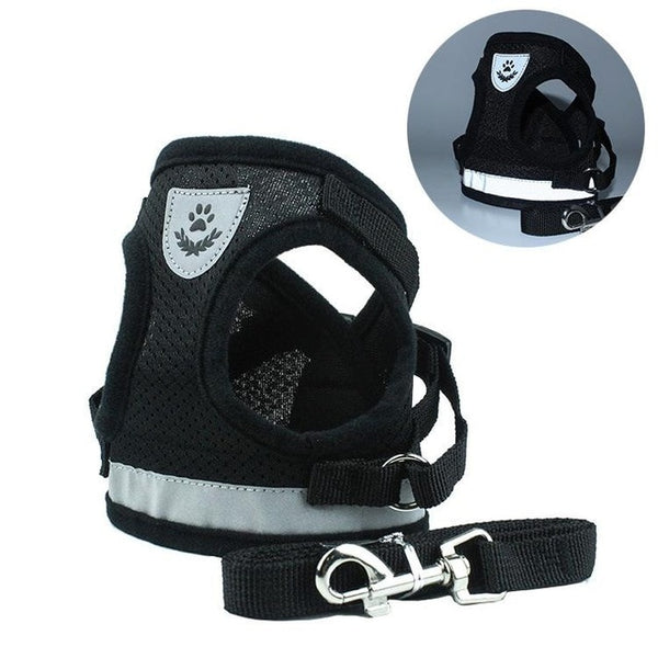Safety Harness and Leash Set