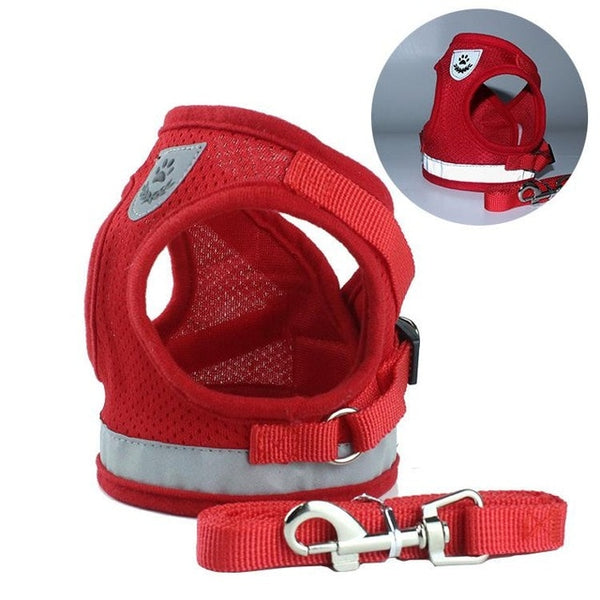 Safety Harness and Leash Set