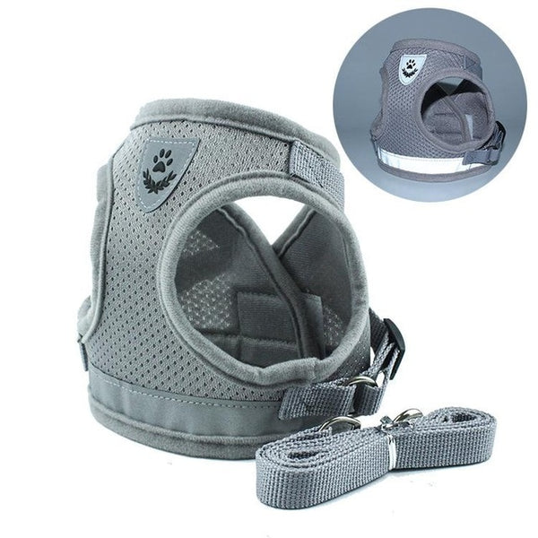 Safety Harness and Leash Set