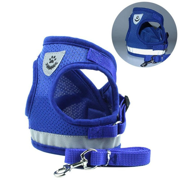 Safety Harness and Leash Set