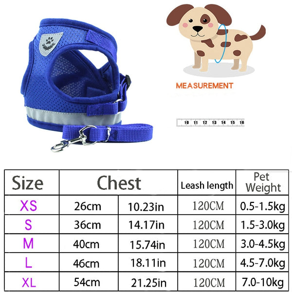 Safety Harness and Leash Set