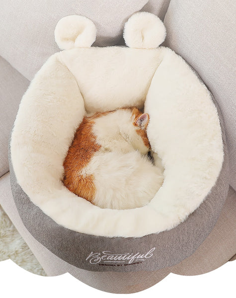 Cute house for pets - Hoopet