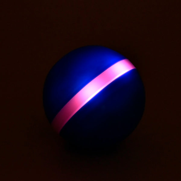 LED Rolling Flash Fun Ball