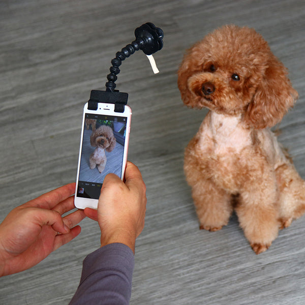 Pet Selfie Stick For Dogs and Cats