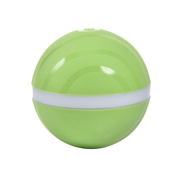 LED Rolling Flash Fun Ball