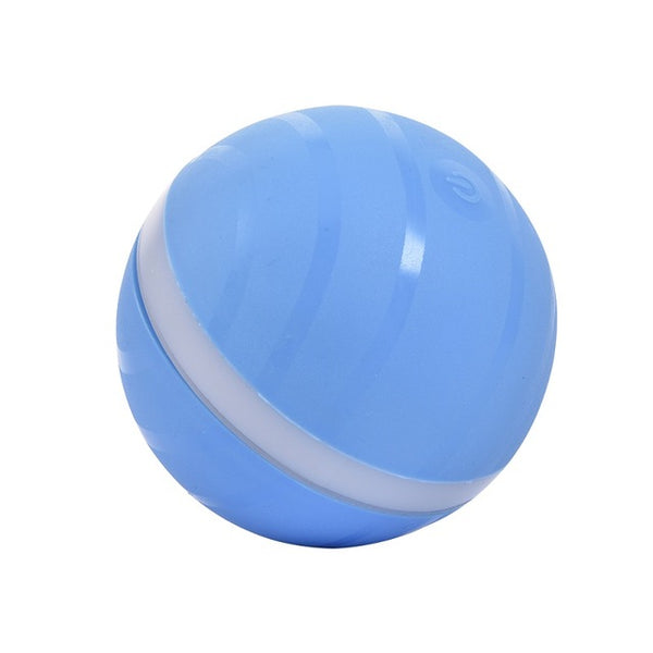LED Rolling Flash Fun Ball