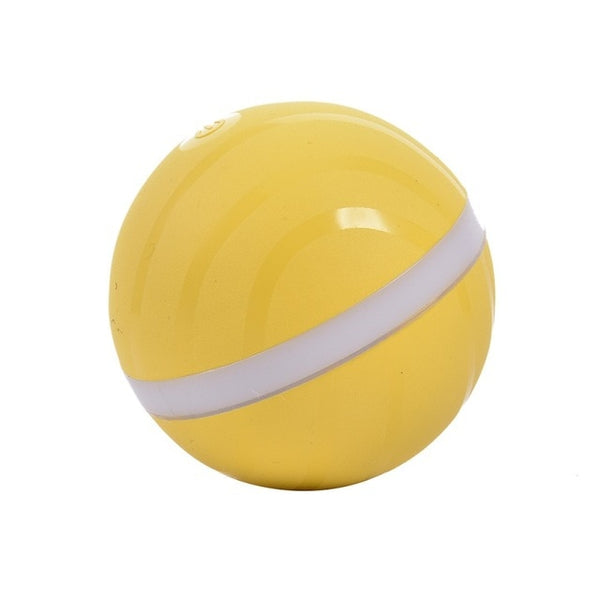 LED Rolling Flash Fun Ball