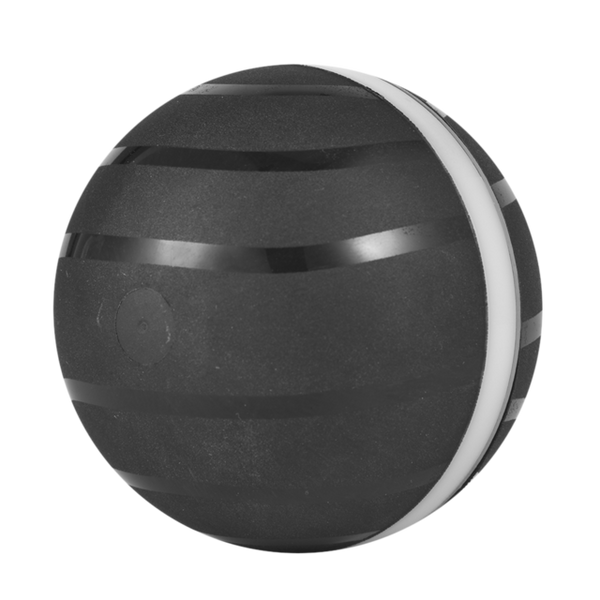 LED Rolling Flash Fun Ball