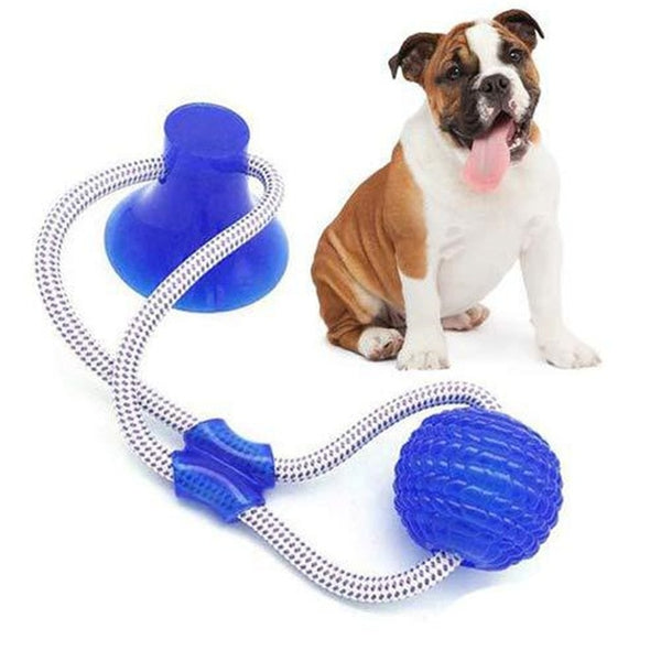 40*10CM Suction Cup
