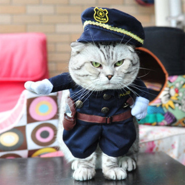 Christmas Cat Clothes