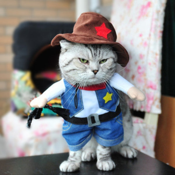 Christmas Cat Clothes