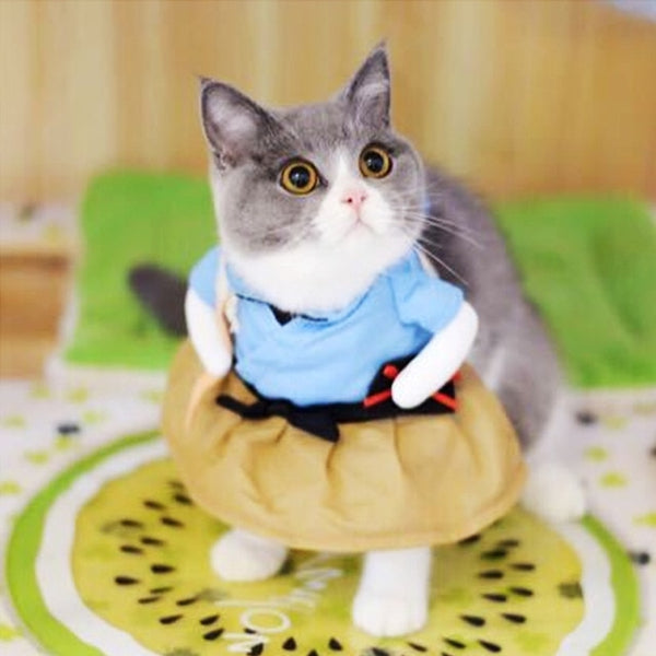 Christmas Cat Clothes