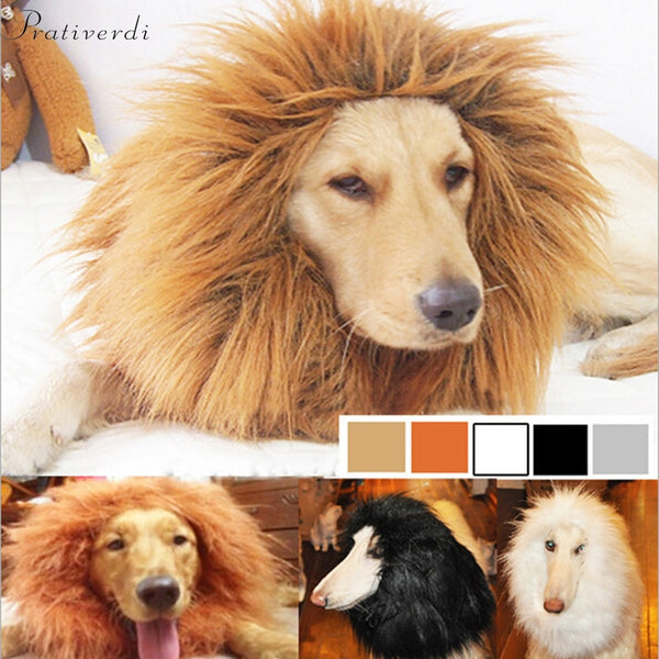 Lion Costume - Cats and Dogs