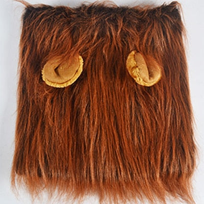 Lion Costume - Cats and Dogs