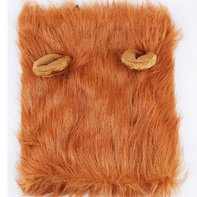 Lion Costume - Cats and Dogs