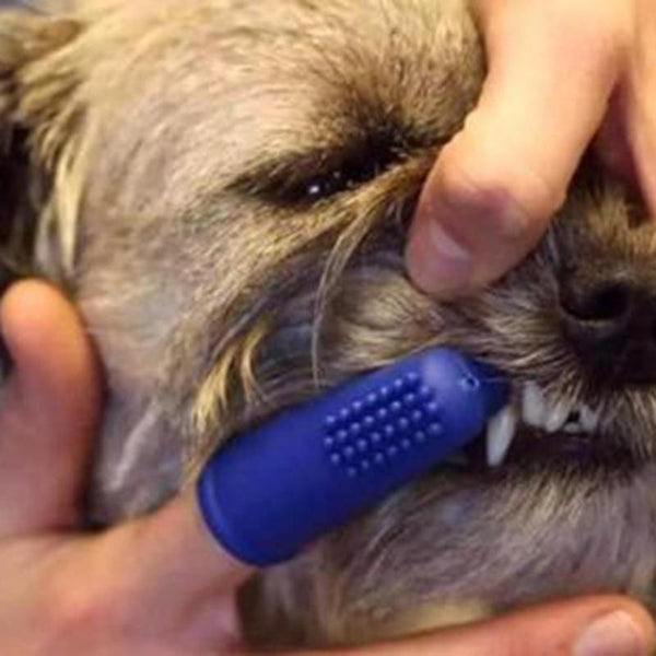 Finger Toothbrush for Dogs and Cats