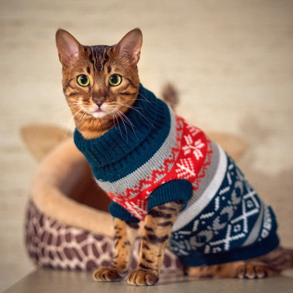 Snow flower for Christmas - Dogs and Cats