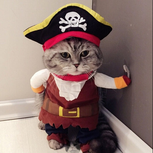 Pirate Costume For Cat