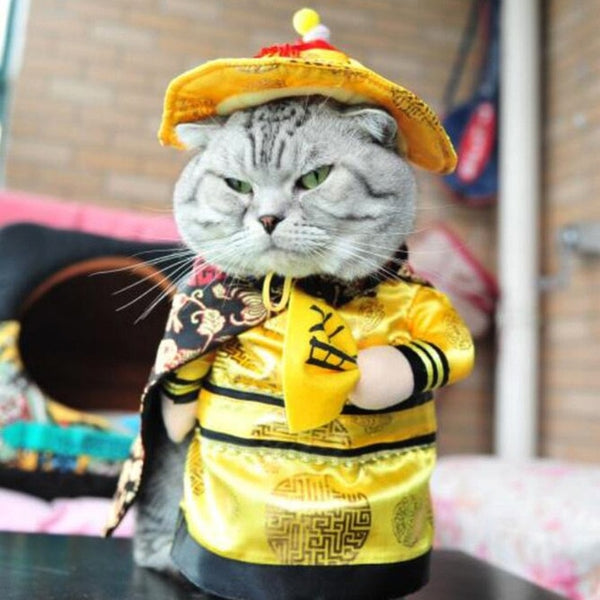 Pirate Costume For Cat