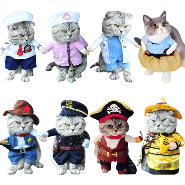 Pirate Costume For Cat