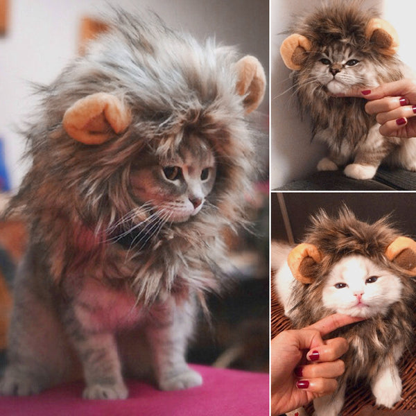 Lion Costume with Hat for Cats and Dogs