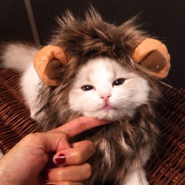Lion Costume with Hat for Cats and Dogs