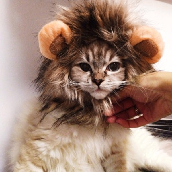 Lion Costume with Hat for Cats and Dogs