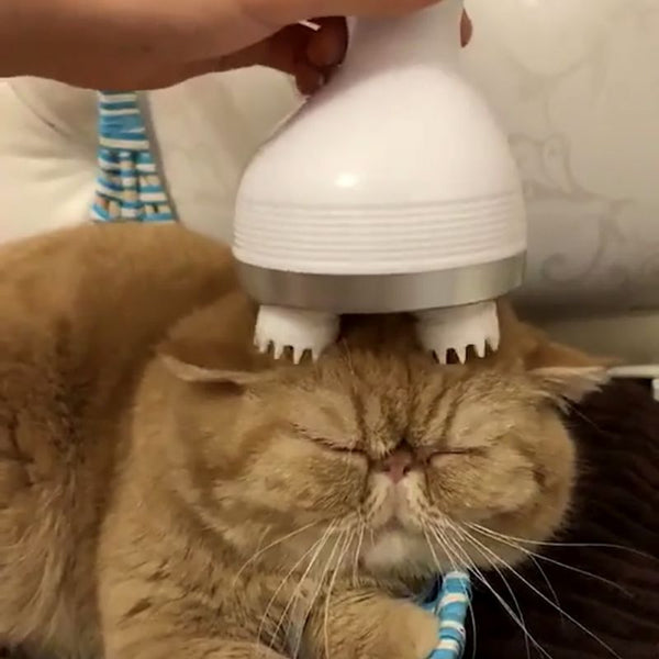 Pets Head Massager - Rotates & Waterproof