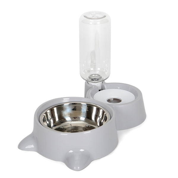 Cats and Dogs Bowl Water and Food