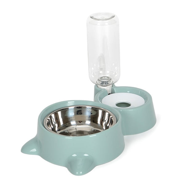 Cats and Dogs Bowl Water and Food